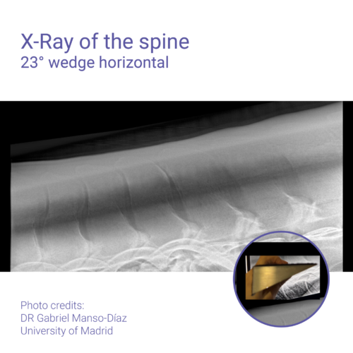 Aluminium Wedge - Image 8