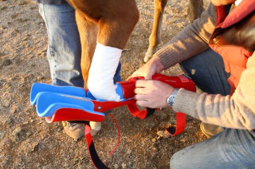 Redboot Articulated Corrective Brace - Image 3