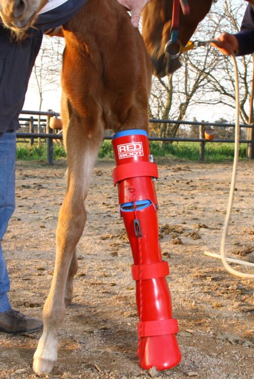 Redboot Articulated Corrective Brace - Image 2