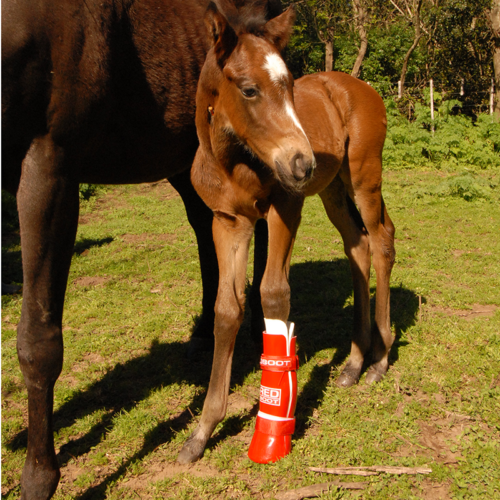 RedBoot Corrective Foal Boot - Image 3