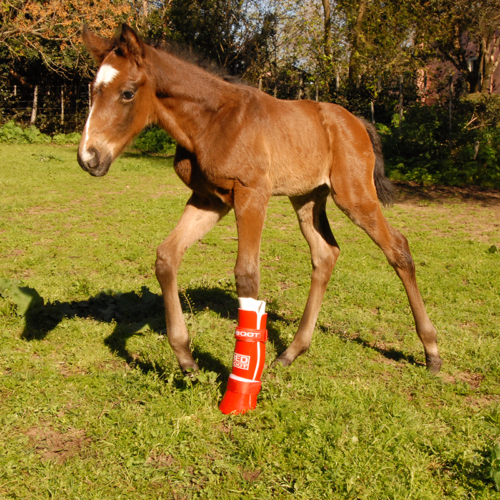 RedBoot Corrective Foal Boot - Image 2