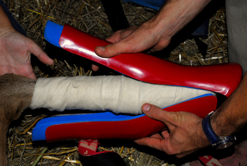 RedBoot Corrective Foal Boot - Image 5