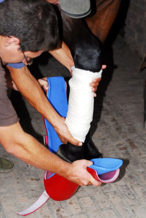 Redboot Emergency Compression Boot - Image 6