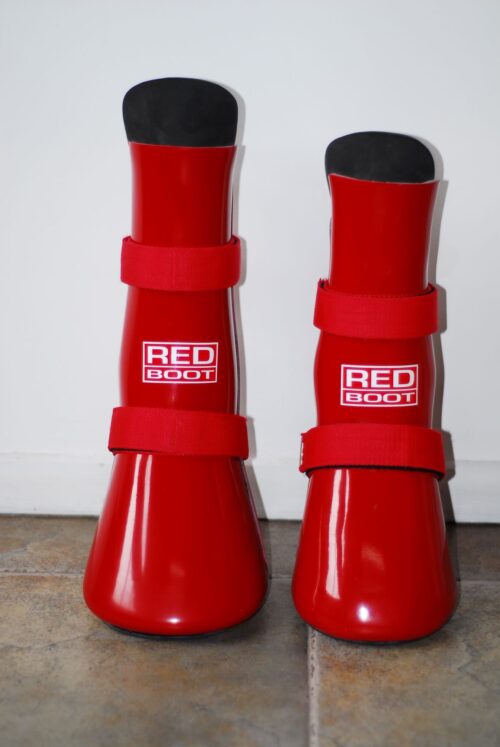 Redboot Emergency Compression Boot - Image 2