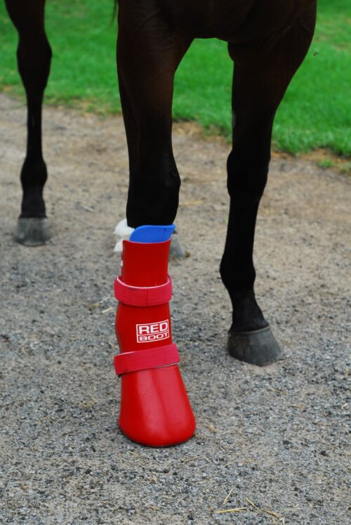 Redboot Emergency Compression Boot - Image 3