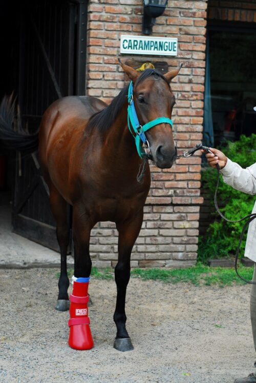Redboot Emergency Compression Boot - Image 4
