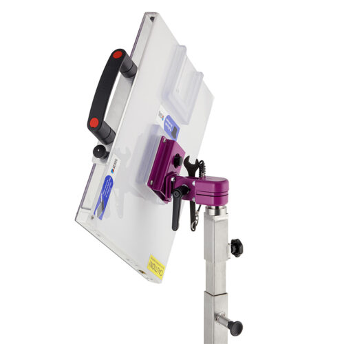 Denfinity - Image 7