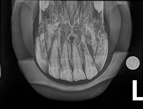 XtandR - Image 4