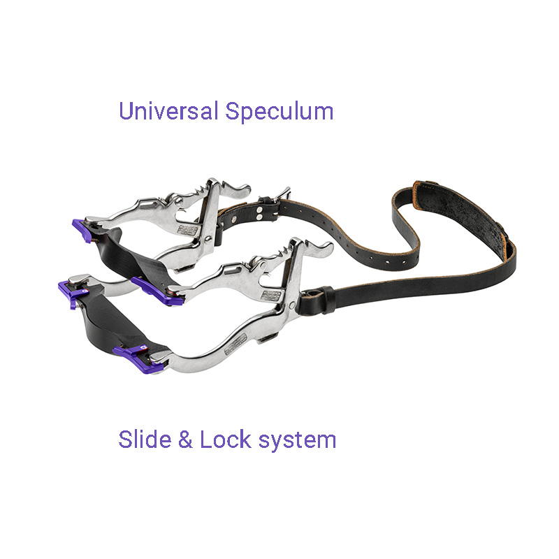 XtandR Equine xray biteplates for equine dental xrays Podoblock USA