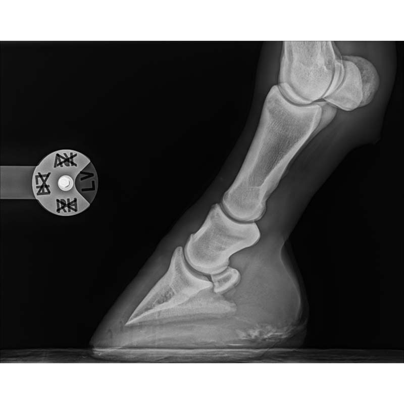 Multiclip DR - Image 4