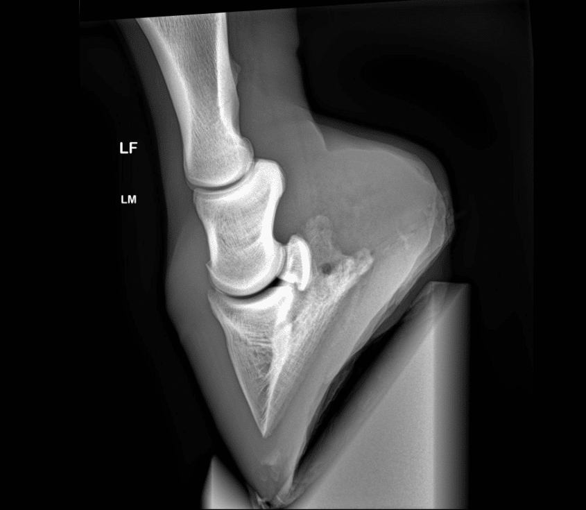Podoblock <span>Configuration</span> - Image 13