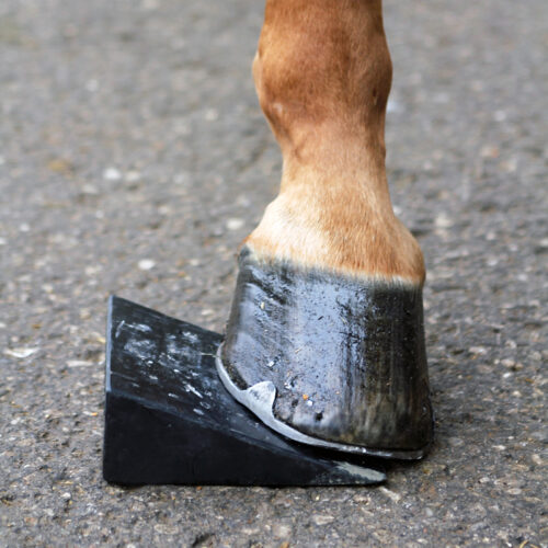 SCAN Wedge - Image 4