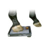 CR-Skylinebox - Image 3