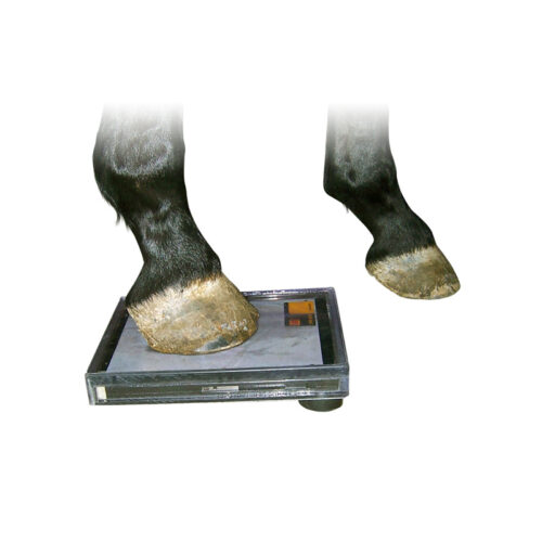 CR-Skylinebox - Image 3
