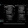 U-scan - Image 6