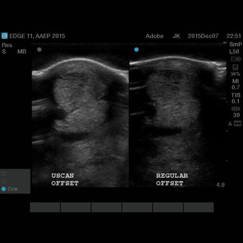 U-scan - Image 5