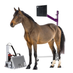 Special X-ray solutions