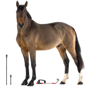 Parts & Specials