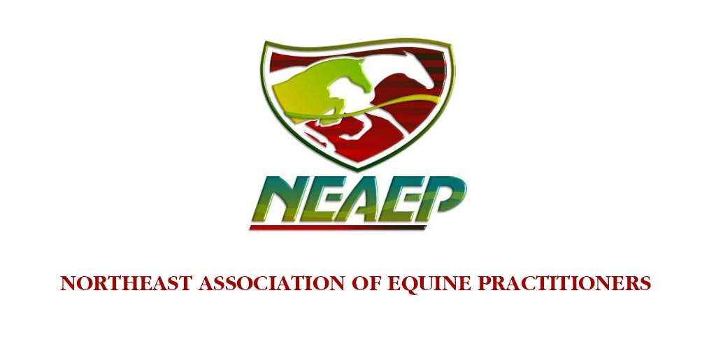 11th NEAEP Annual Symposium