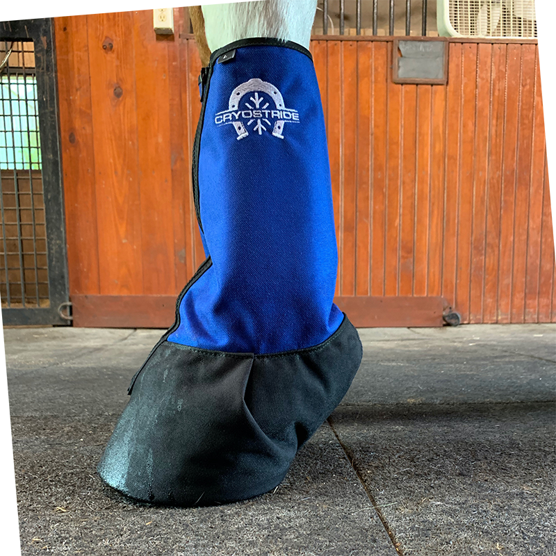 Pro choice ice boots top
