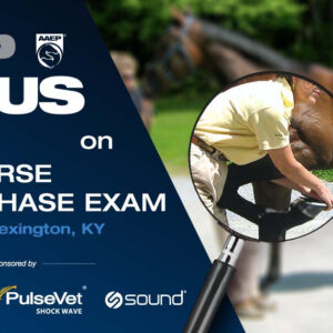 AAEP Focus on Sport Horse Pre-Purchase Exam
