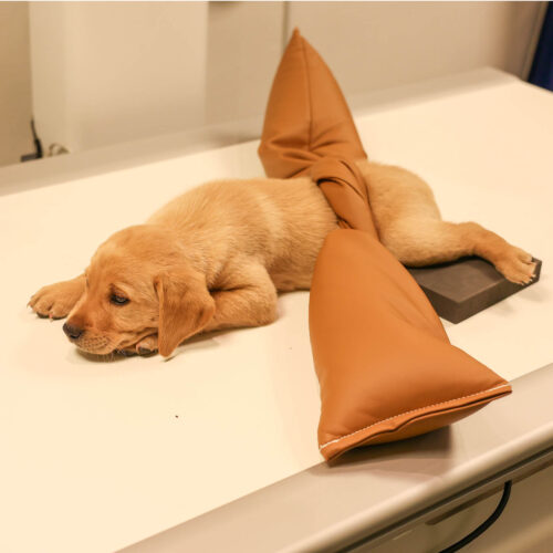 Flexible Vinyl Sandsocks - Image 3