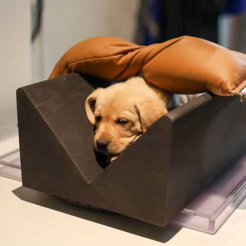 Closed Cell Immobilizer Trough - Image 4