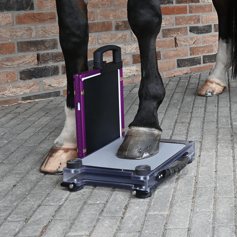Compare Protection Boxes